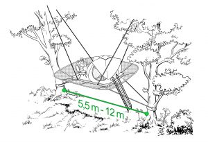 treefloor-01-final_annotations