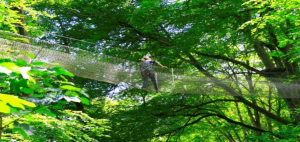 Adventure park nets walkway